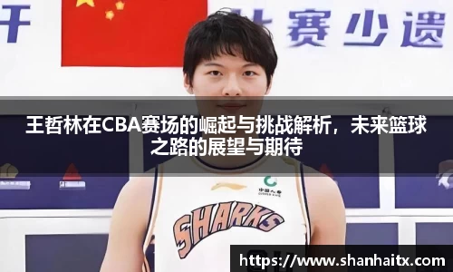 王哲林在CBA赛场的崛起与挑战解析，未来篮球之路的展望与期待